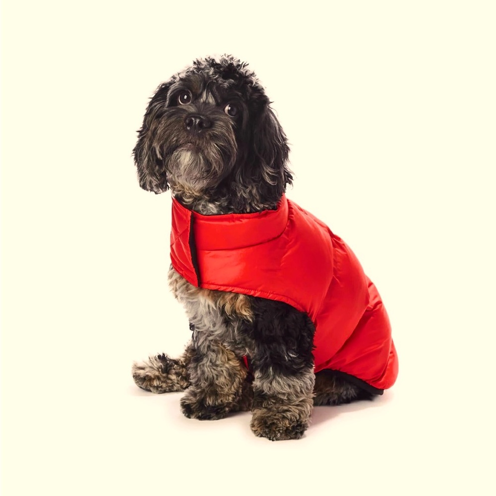 Doggy Perfect Puffer